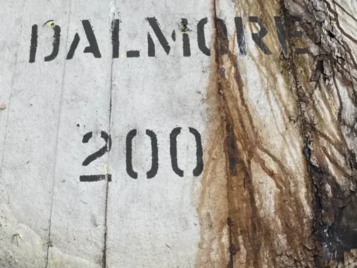 A Dalmore cask end filled in 2001, stencilled with the distillery name and fill year